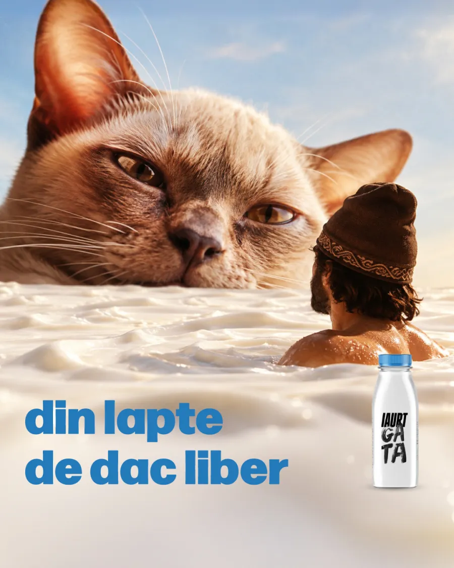 Iaurt GATA — pisica uriașă